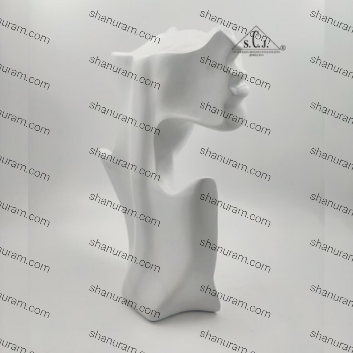 Mannequin Jewelery Necklace, Earring Display Stand Bust Half Face