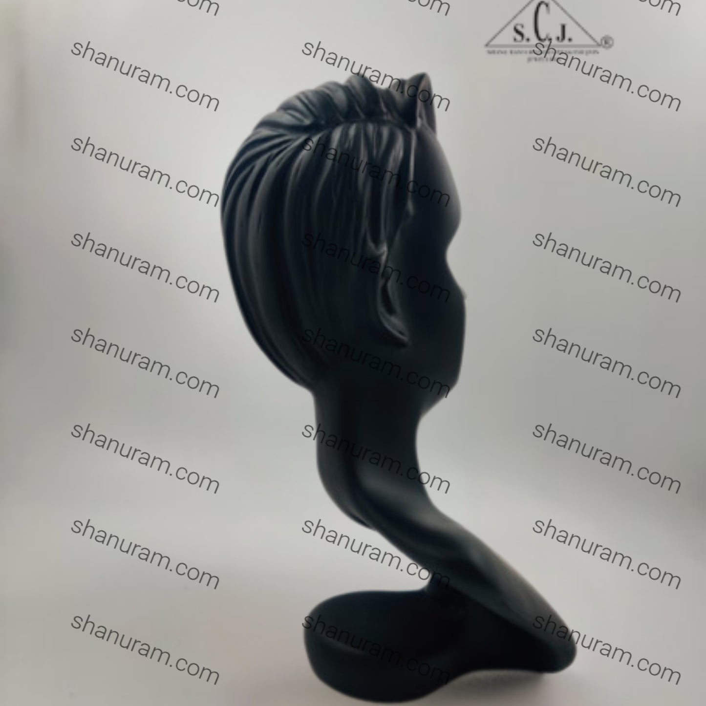 Mannequin Necklace Earring Black Display Bust Jewellery Holder Stand, 12"