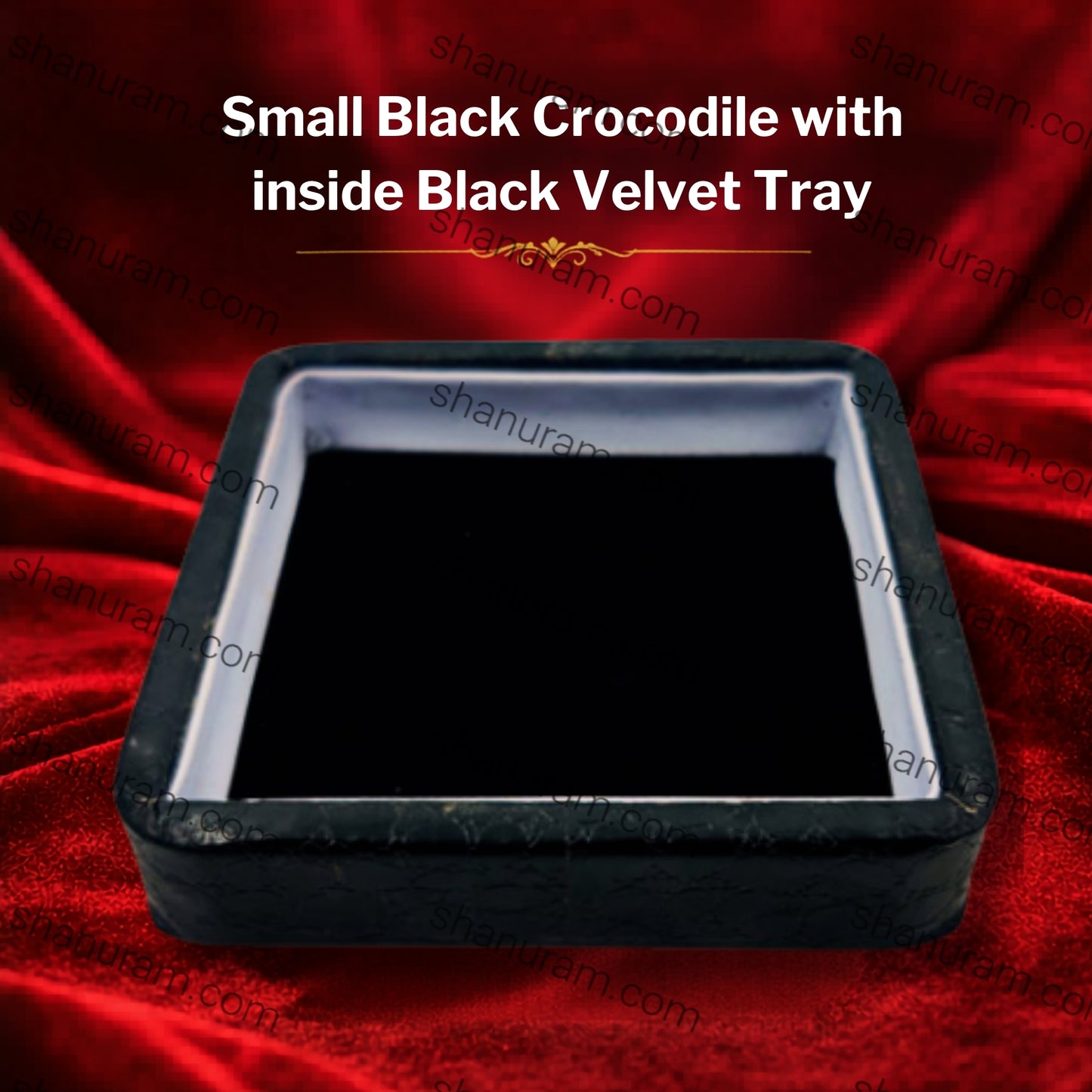 Small Black Crocodile with inside Black Velvet Tray