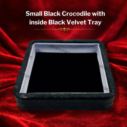 Small Black Crocodile with inside Black Velvet Tray