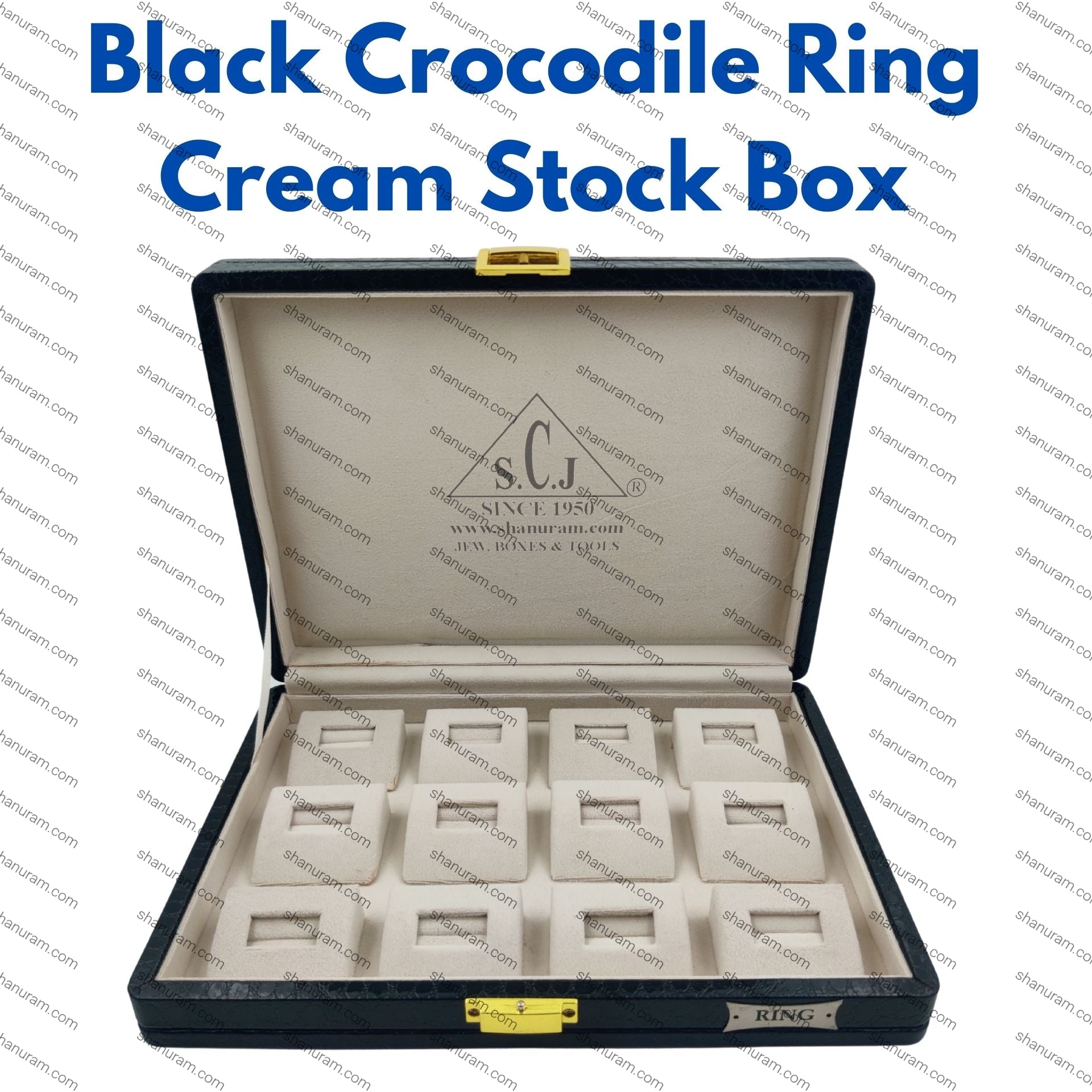 Black crocodile ring cream stock box with compartments on a white background