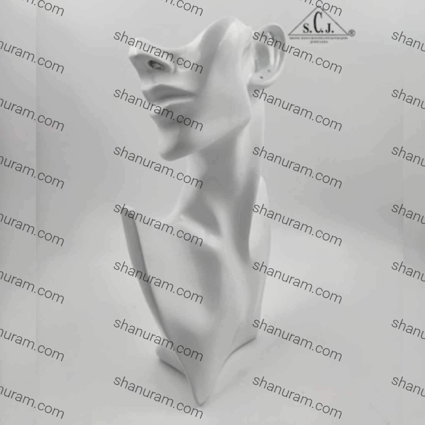 Mannequin Jewelery Necklace, Earring Display Stand Bust Half Face