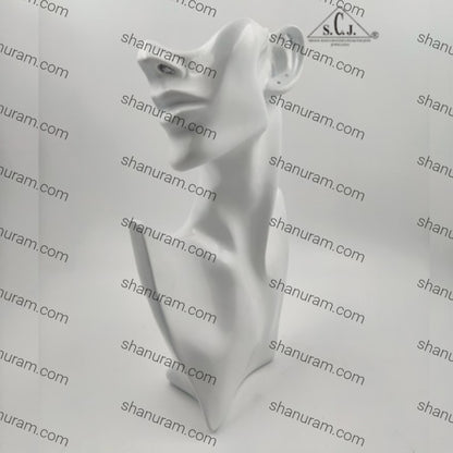 Mannequin Jewelery Necklace, Earring Display Stand Bust Half Face