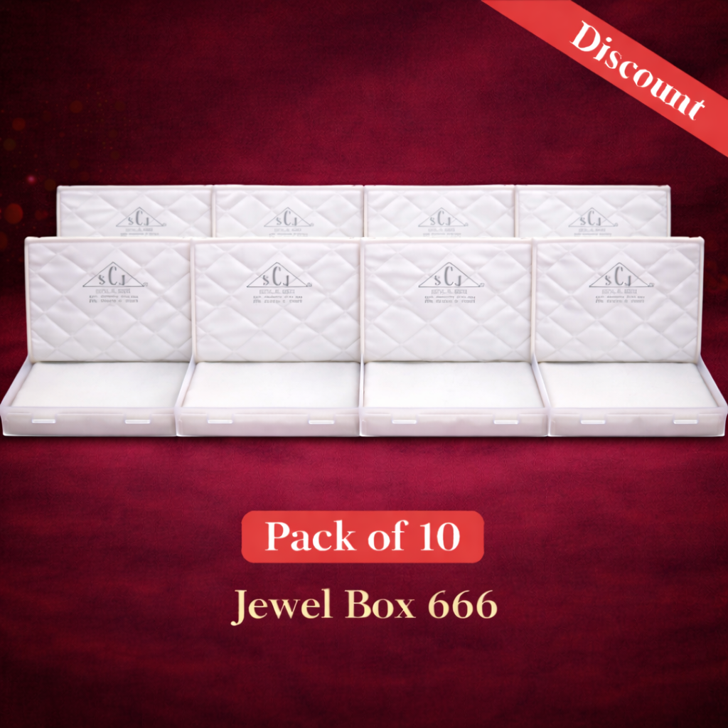 Jewel Box 666 Double Flap Big Necklace Set Box – Large Transparent Jewellery Storage Case