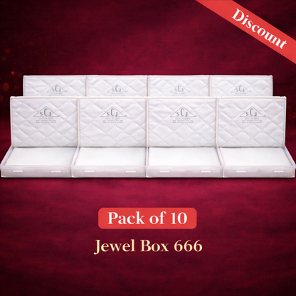 Jewel Box 666 Double Flap Big Necklace Set Box – Large Transparent Jewellery Storage Case