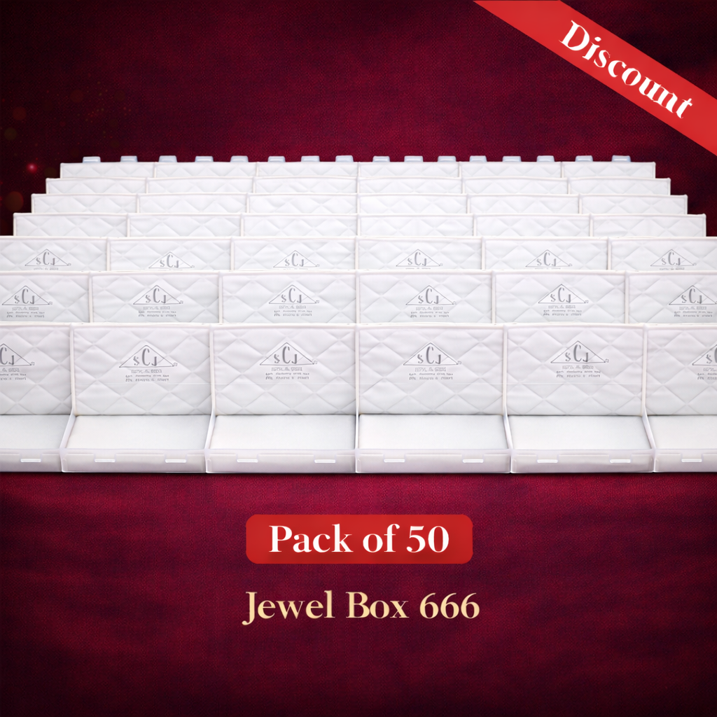 Jewel Box 666 Double Flap Big Necklace Set Box – Large Transparent Jewellery Storage Case