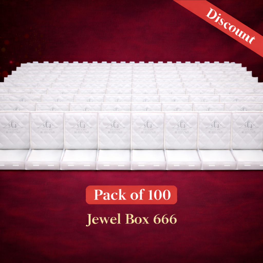Jewel Box 666 Double Flap Big Necklace Set Box – Large Transparent Jewellery Storage Case
