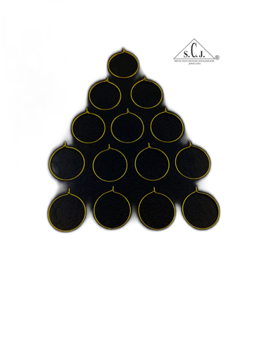 SCJ Golden Round Earring