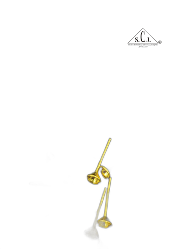 SCJ Earing Ear Studs Beads