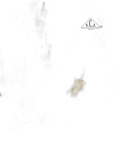 SCJ Flower Designs Ear Studs